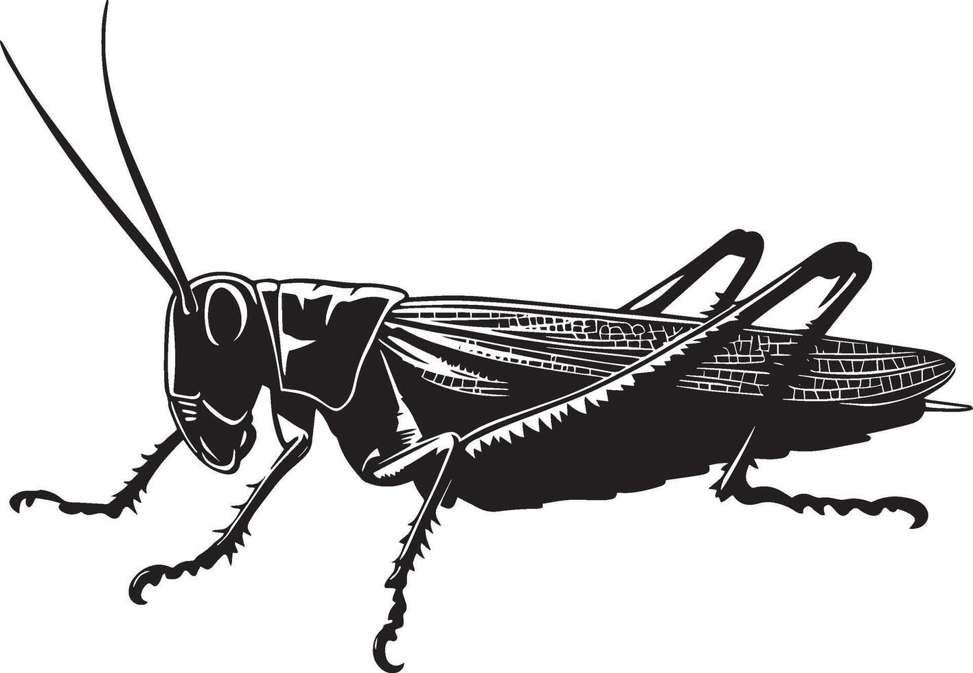 Black illustration of a grasshopper moving low to the ground, legs stretched out. vector
