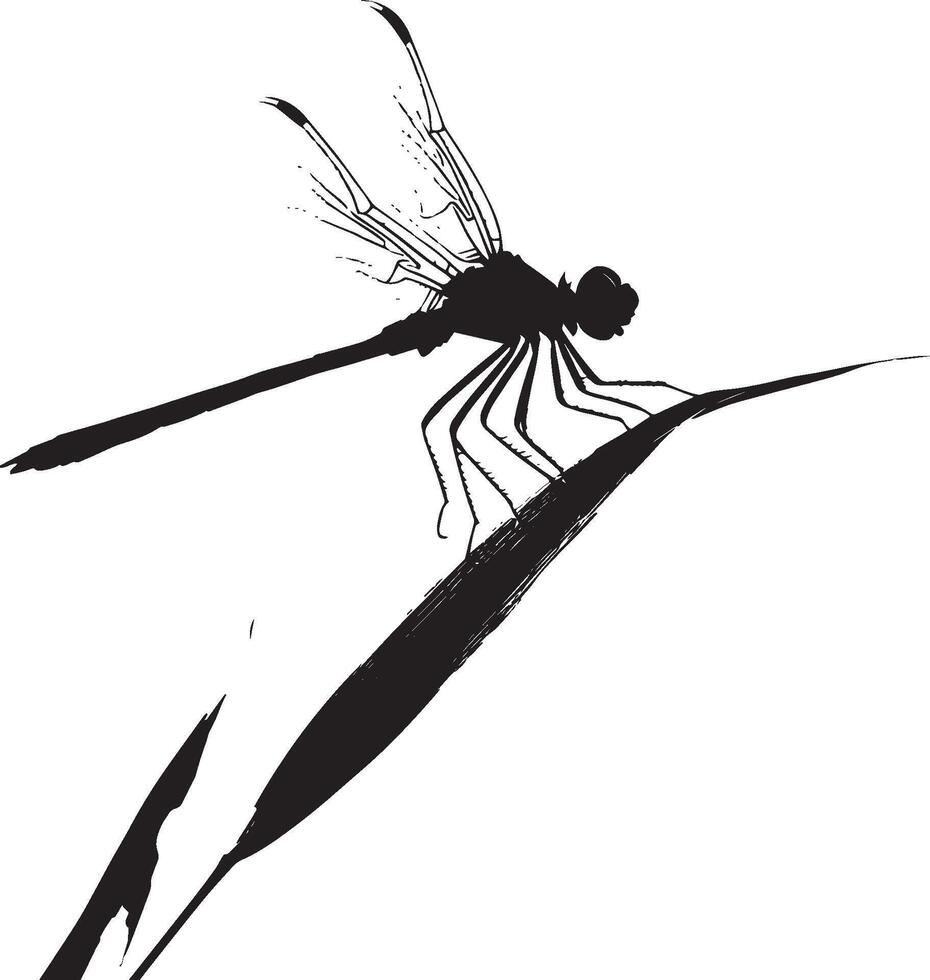 Dragonfly Resting on a Leaf Body upright on a leaf or twig, wings slightly spread, and legs firmly gripping the surface. Full-length silhouette black design. vector