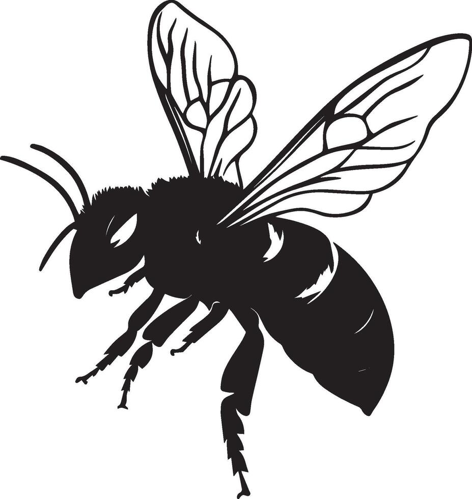 Resting Bee A silhouette illustration showcasing a bee lying on a surface or flower, wings folded and antennae calm, in a complete black profile. vector