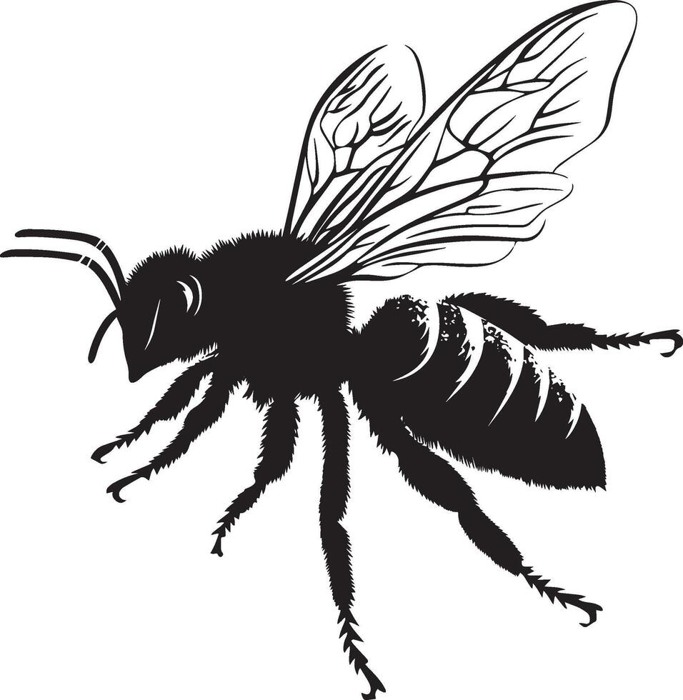 Bee Flying Wings spread and rapidly flapping with legs tucked under the body, flying through the air. full length silhouette black illustration vector