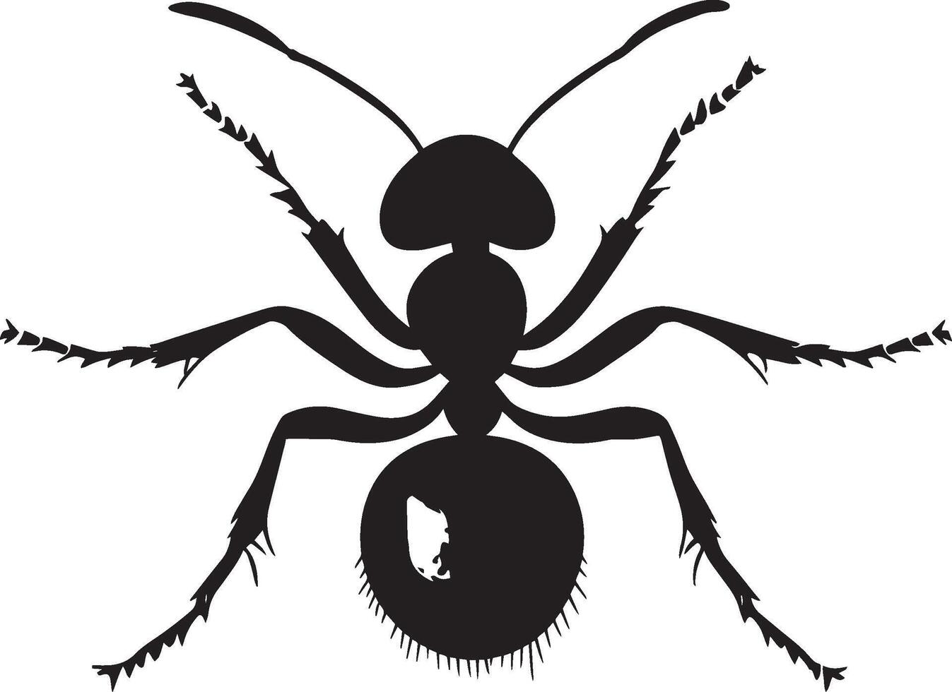 Ant Resting Body still with legs tucked under and antennae relaxed. full length silhouette black illustration vector