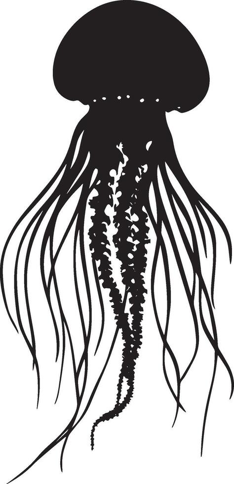 Jellyfish Feeding Tentacles extended out, floating close to prey, body pulsating in rhythm. full length silhouette black illustration vector