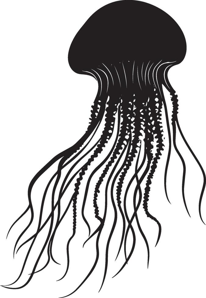 Jellyfish with Tentacles Extended Body still with long, trailing tentacles hanging down, possibly in a defensive posture. full length silhouette black illustration vector
