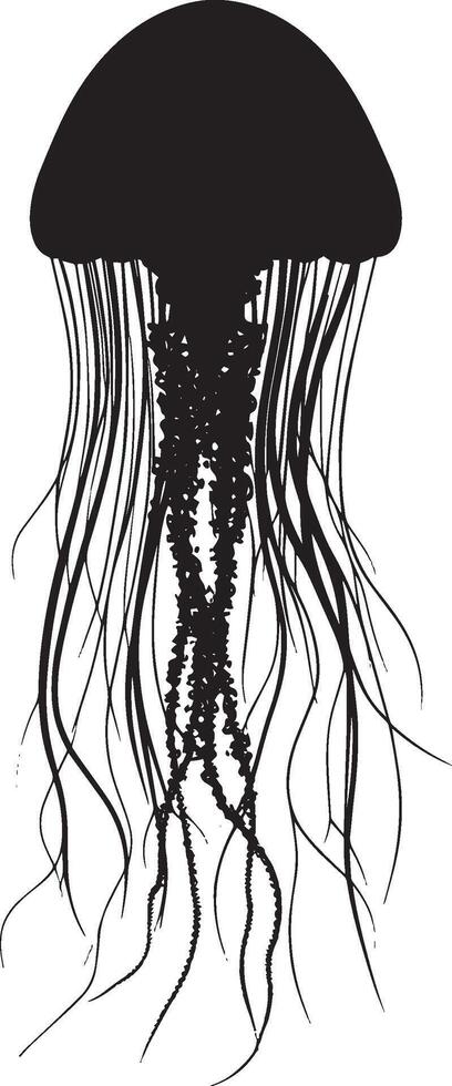 Jellyfish Resting Body still, bell facing downward, with tentacles loosely hanging beneath. full length silhouette black illustration vector