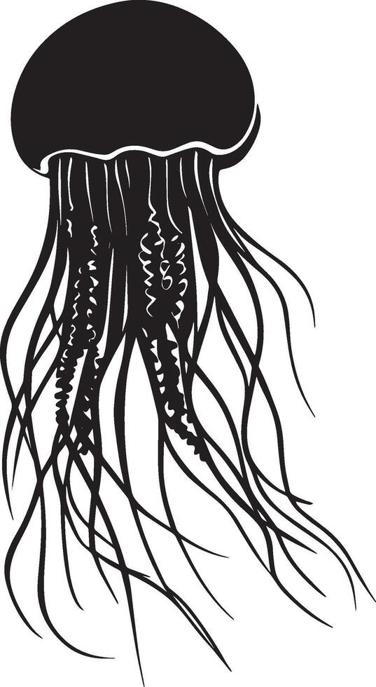 Jellyfish Swimming Body pulsing upward with tentacles extended downward and tail-like fin gently undulating. full length silhouette black illustration vector