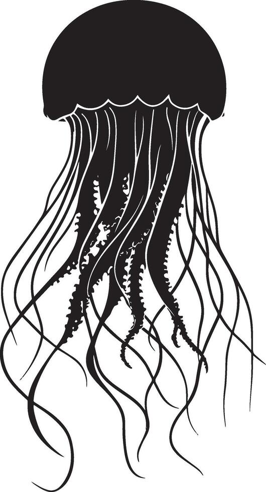 Jellyfish in repose form unmoving, bell directed downward, tentacles flowing loosely below in a complete silhouette illustration. vector