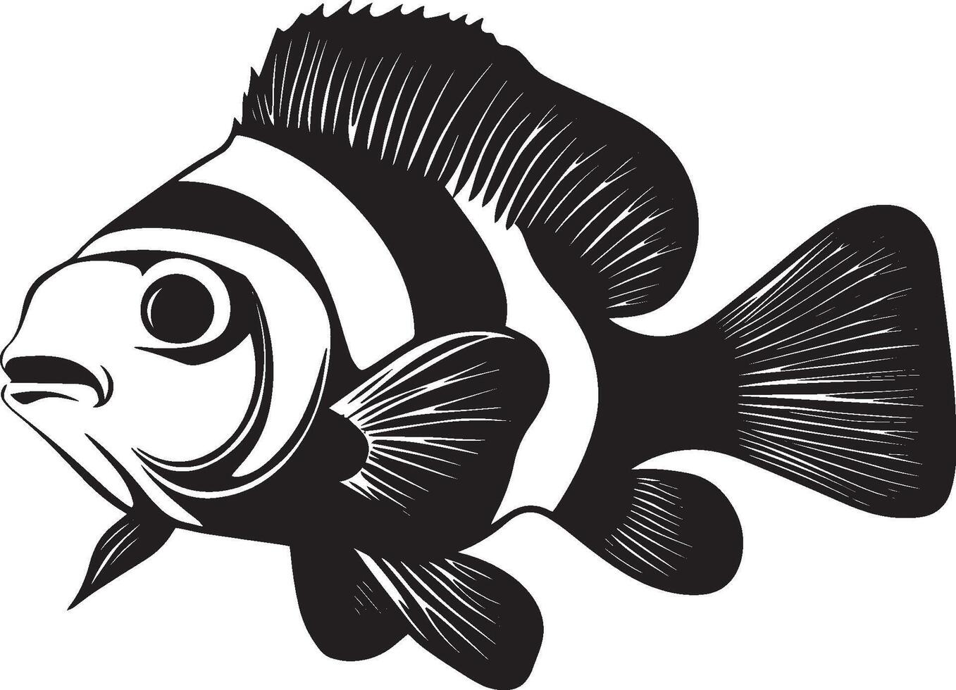 Clownfish navigating form sleek with fins spread wide, tail softly moving through the water in a black outline. vector