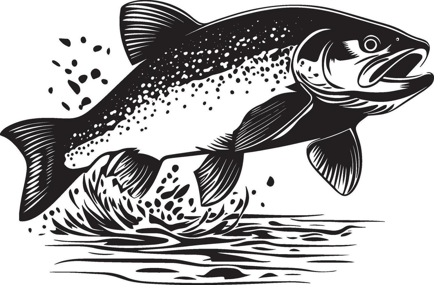 Trout laying eggs body angled in shallow water, fins spread wide, and tail flicking as it spawns in a full-length silhouette. vector
