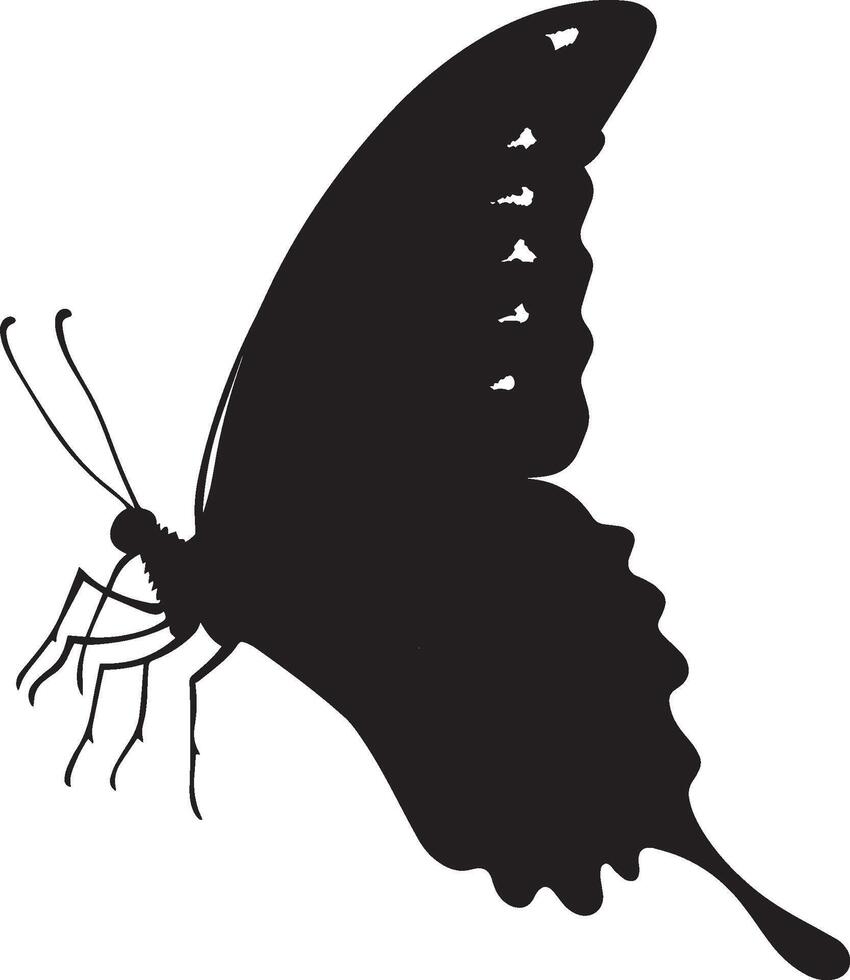 Butterfly Flying Wings spread wide and slightly angled as the butterfly moves through the air with legs tucked. full length silhouette black illustration vector