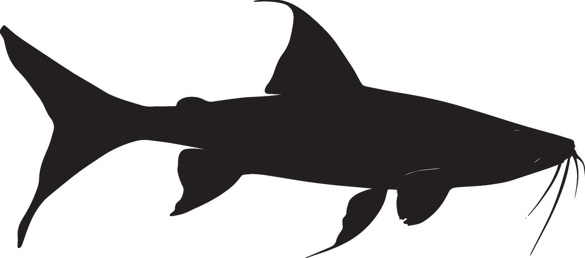Catfish Swimming Body elongated with fins spread and tail gently swaying through the water. full length silhouette black illustration vector
