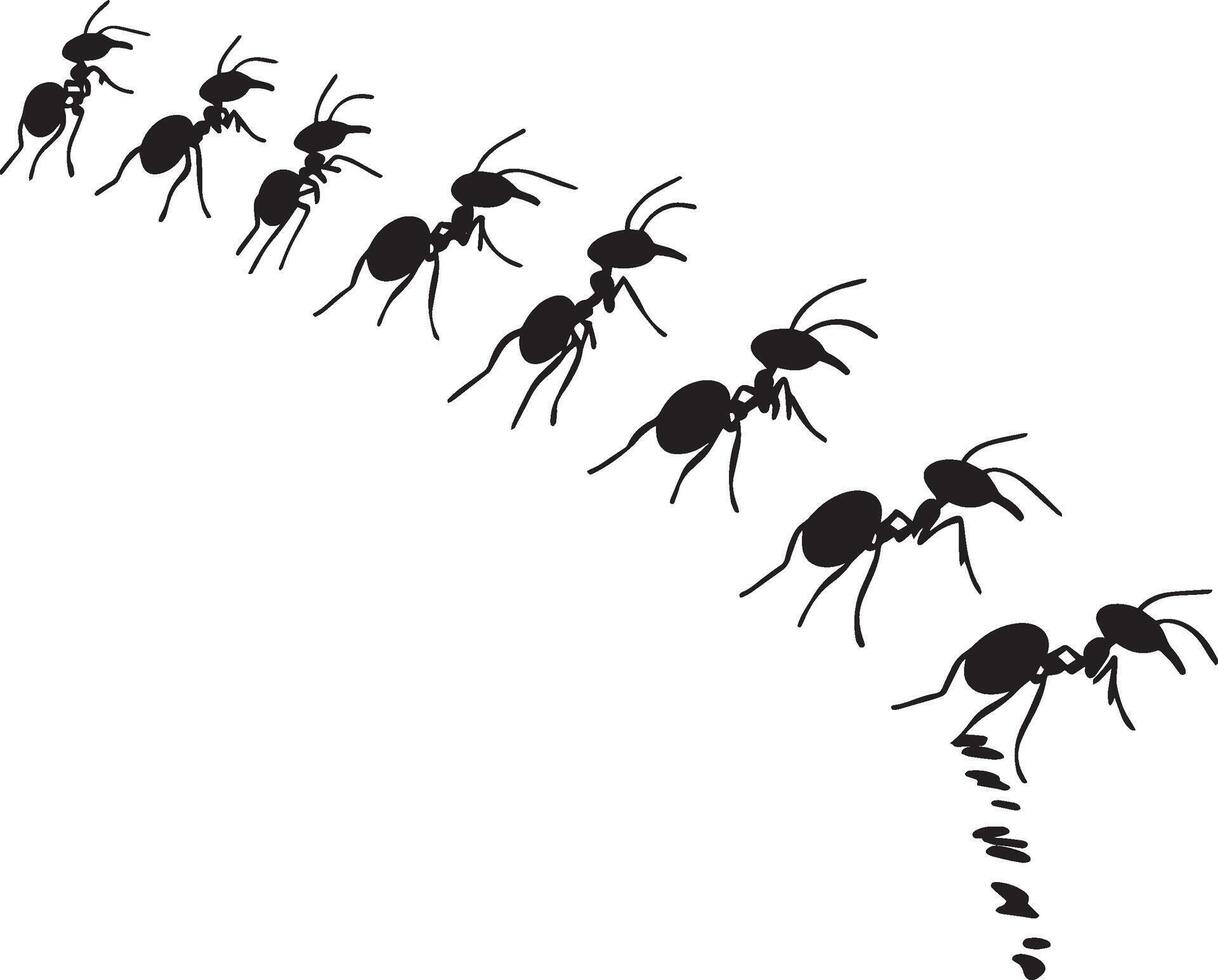 Ant Following Trail Multiple ants lined up, body moving in a straight path with antennae held high. full length silhouette black illustration vector