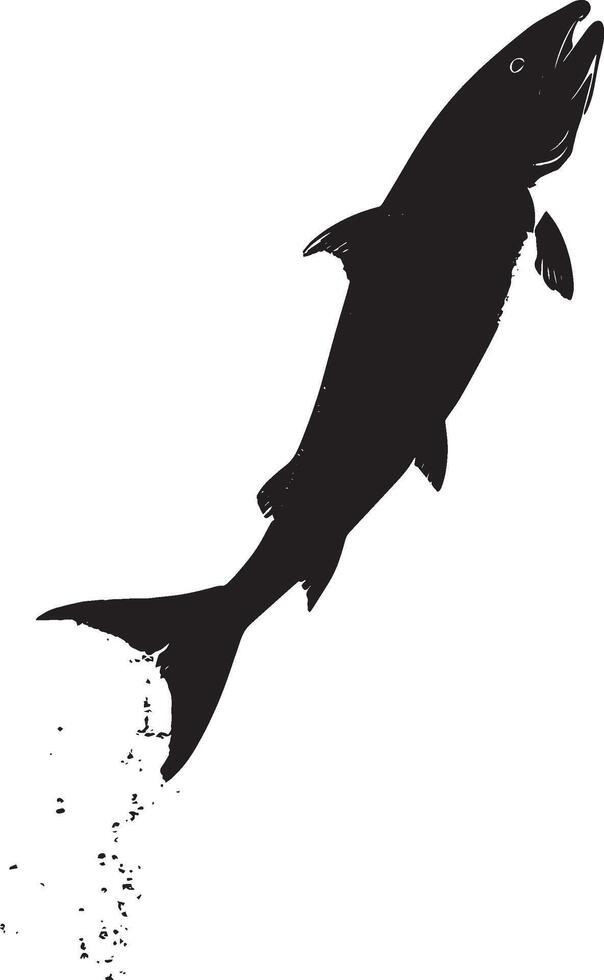 Salmon Jumping Body arched with tail and fins extended while leaping out of the water. full length silhouette black illustration vector