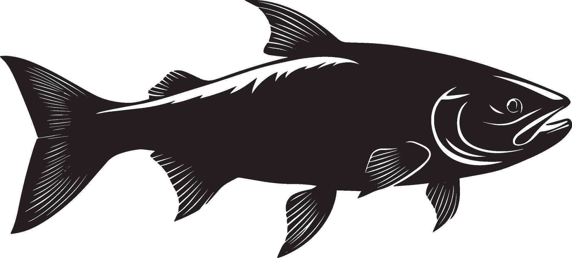 Salmon in motion sleek form swimming through the water, fins spread wide, and tail softly undulating in a black outline. vector