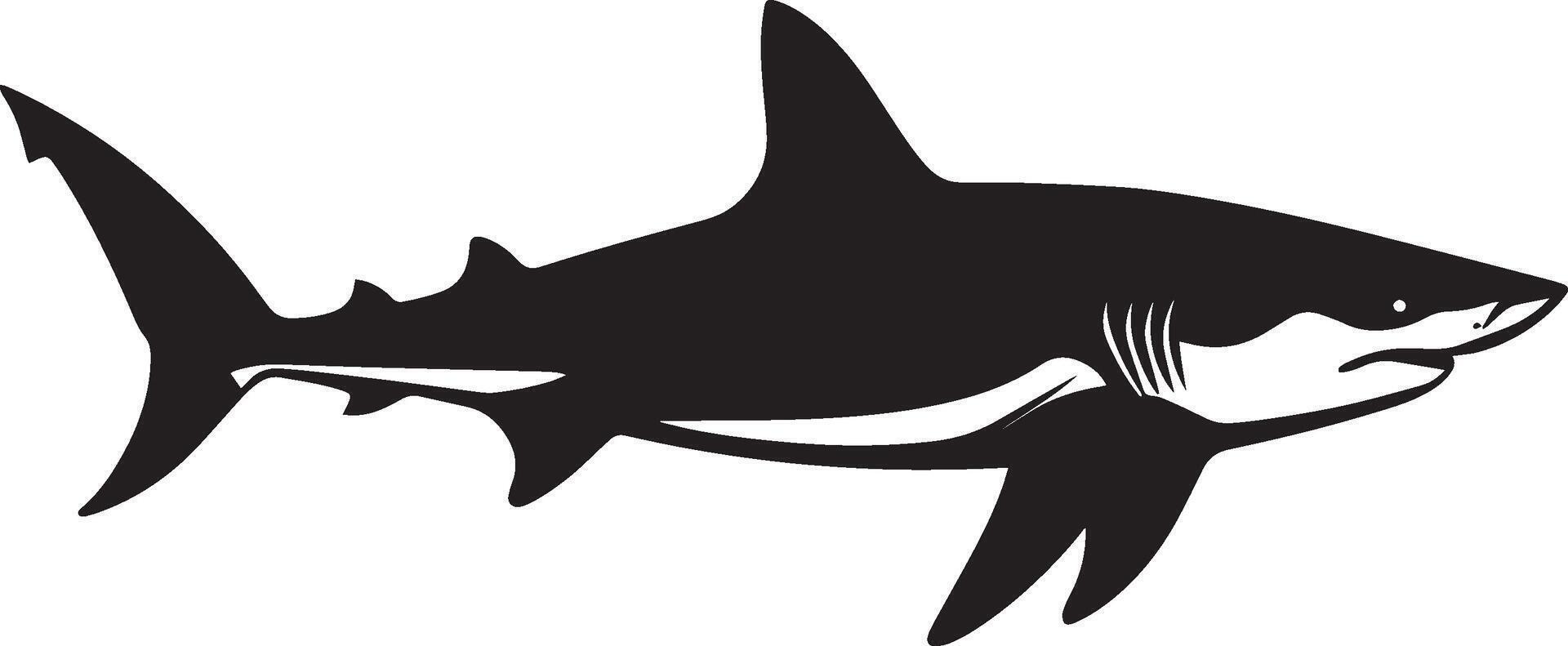 Shark Swimming Body streamlined with tail fin extended and fins spread while moving through water. full length silhouette black illustration vector
