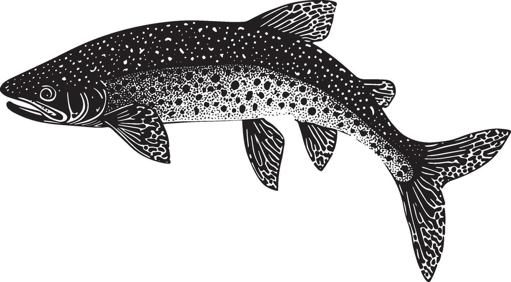 Trout Swimming Body streamlined with fins spread and tail flicking gently through the water. full length silhouette black illustration vector