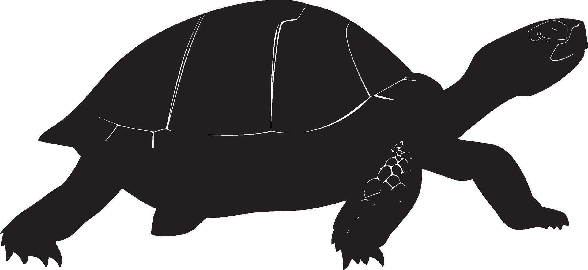 Turtle Crawling Moving slowly on land with legs spread, shell lifted off the ground. full length silhouette black illustration vector