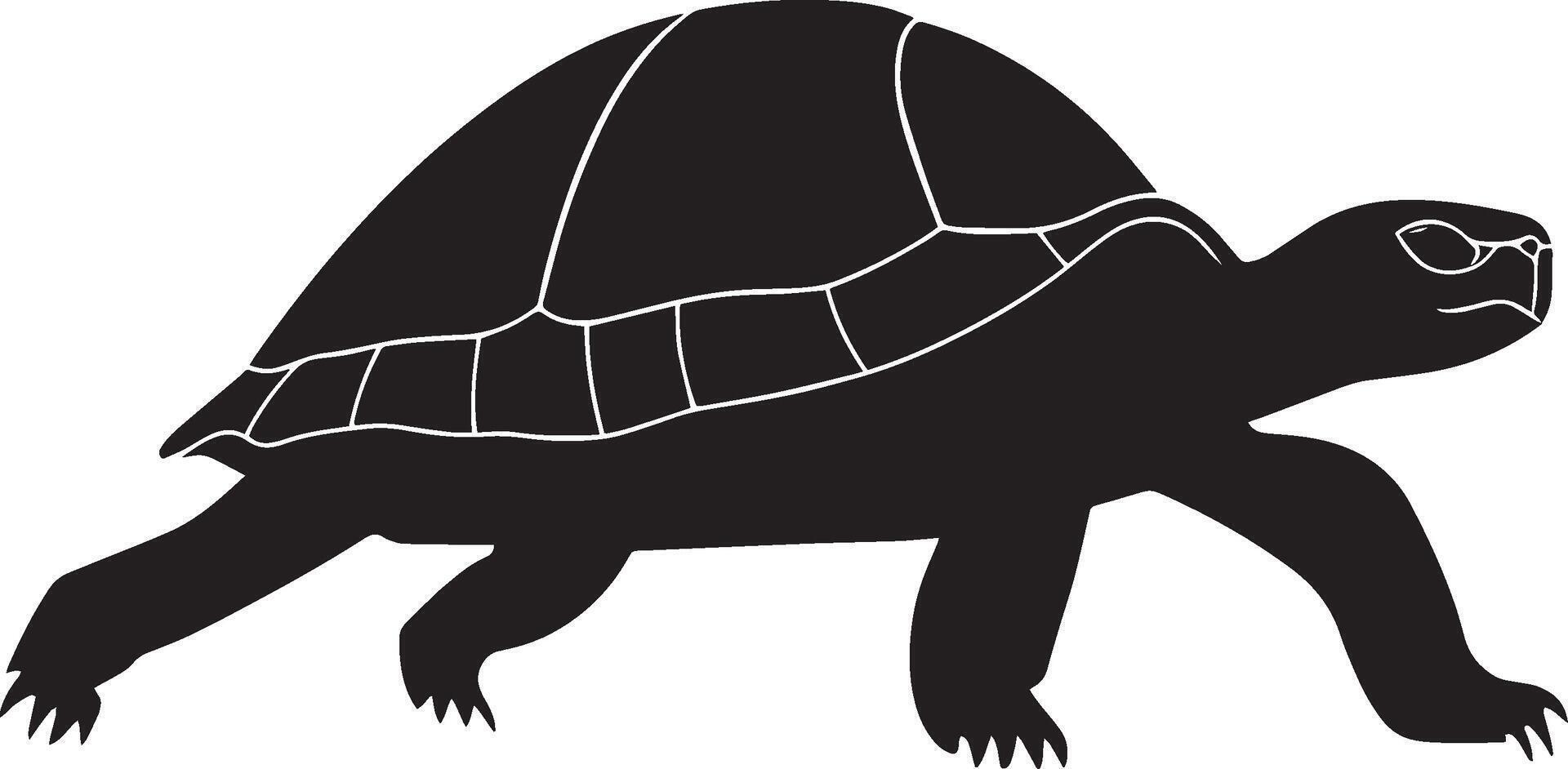 Turtle moving forward taking slow, steady steps, legs extended, and body close to the ground in a full-length silhouette. vector