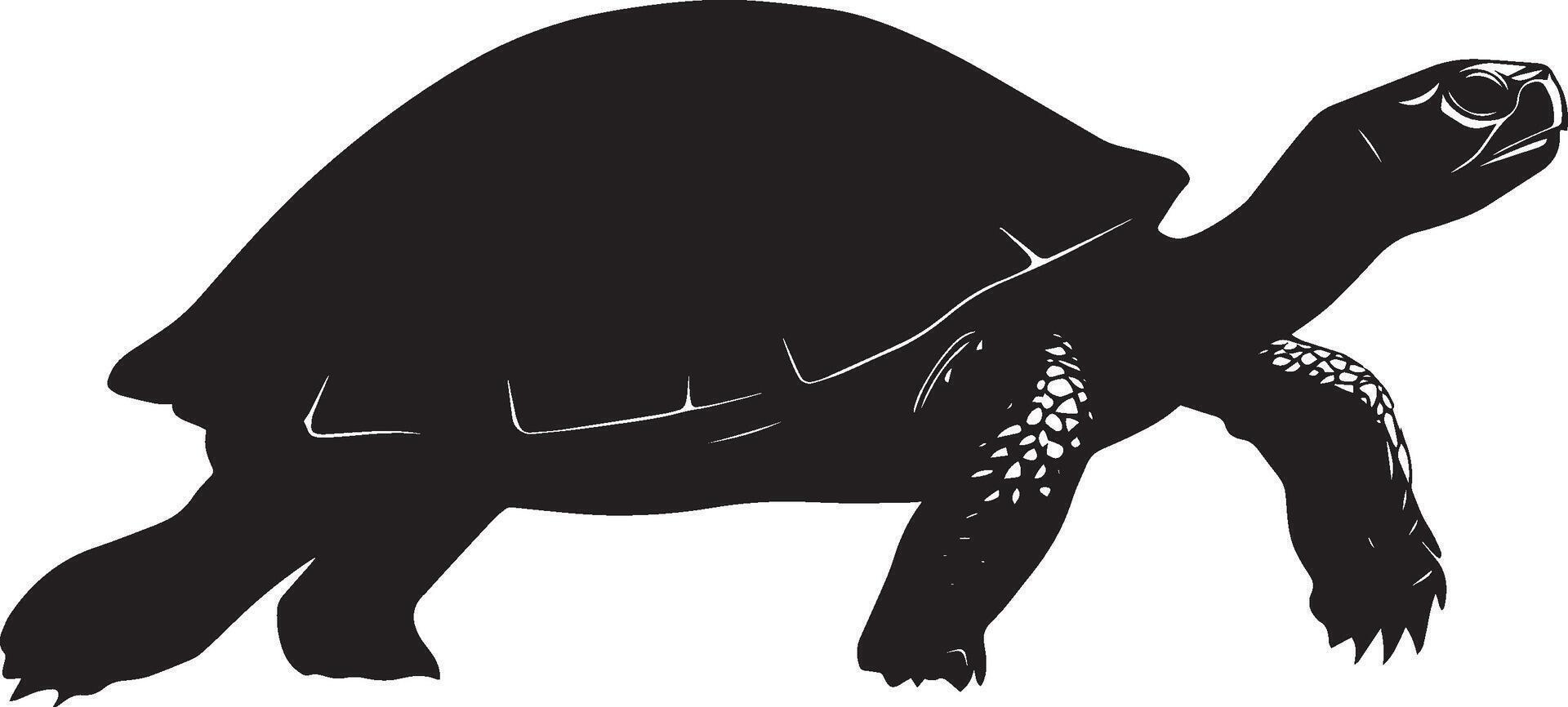 Turtle Walking Slow, steady steps with legs extended and body low to the ground. full length silhouette black illustration vector