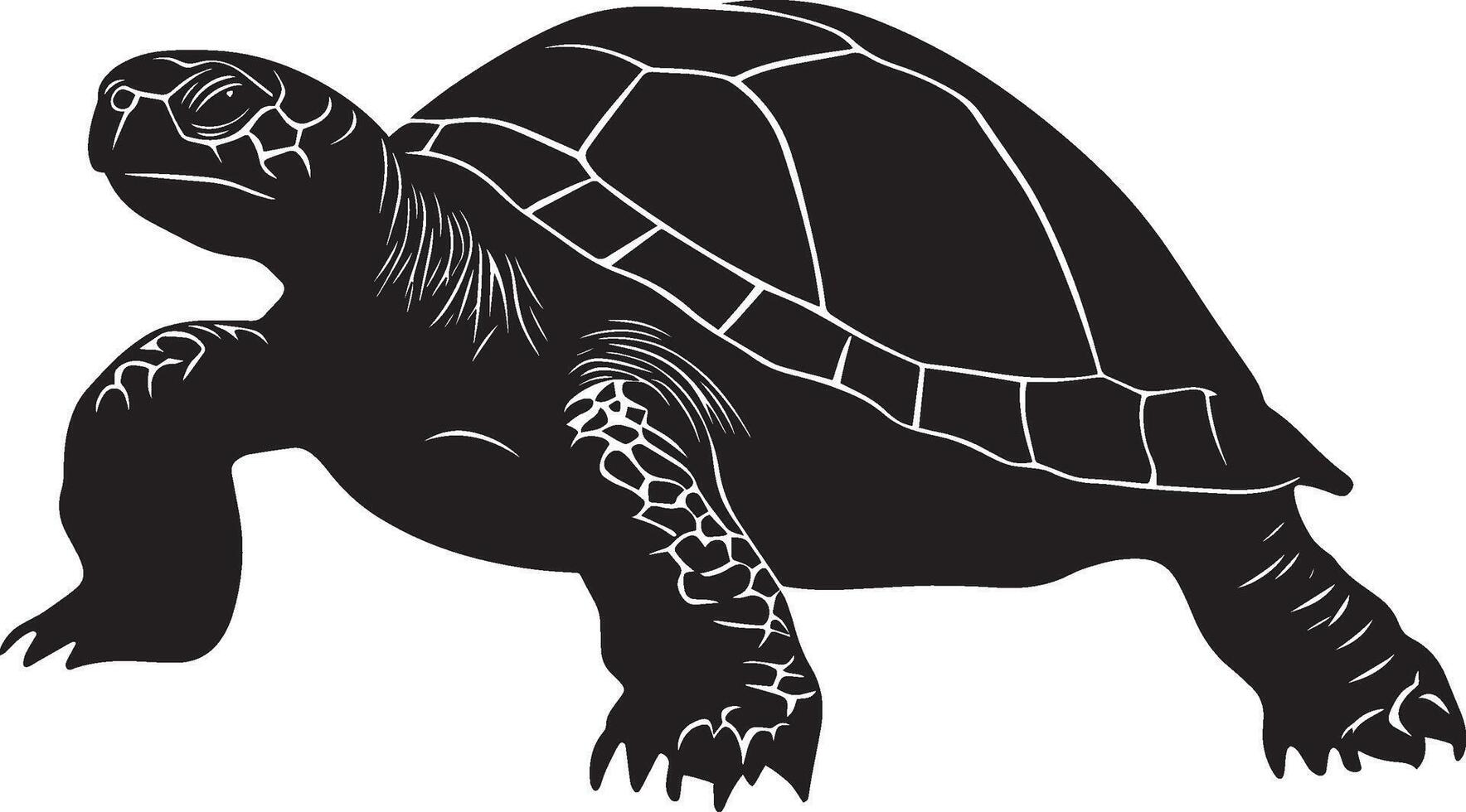 Turtle Eating Head lowered, beak nibbling on food with legs slightly extended. full length silhouette black illustration vector