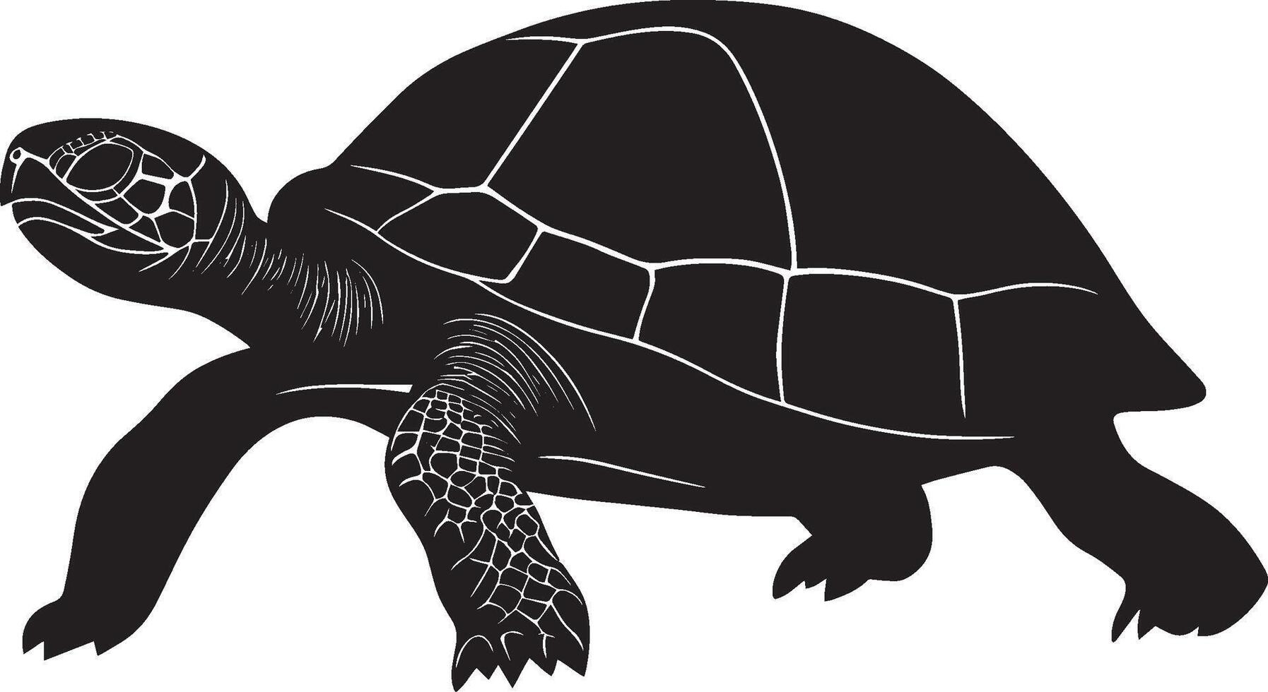 Turtle making its way slowly moving on land, legs splayed, and shell raised in a complete silhouette illustration. vector