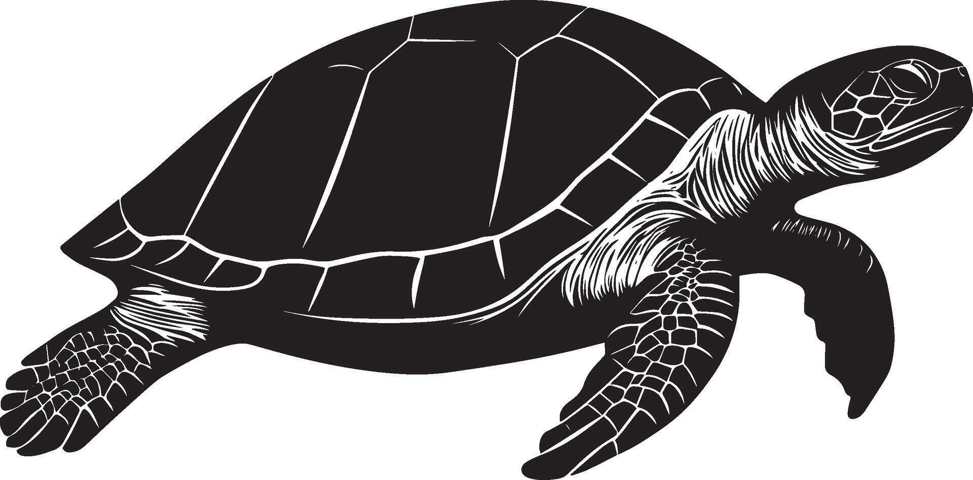Turtle in motion crawling carefully with limbs extended, shell lifted slightly above the surface in a black outline. vector