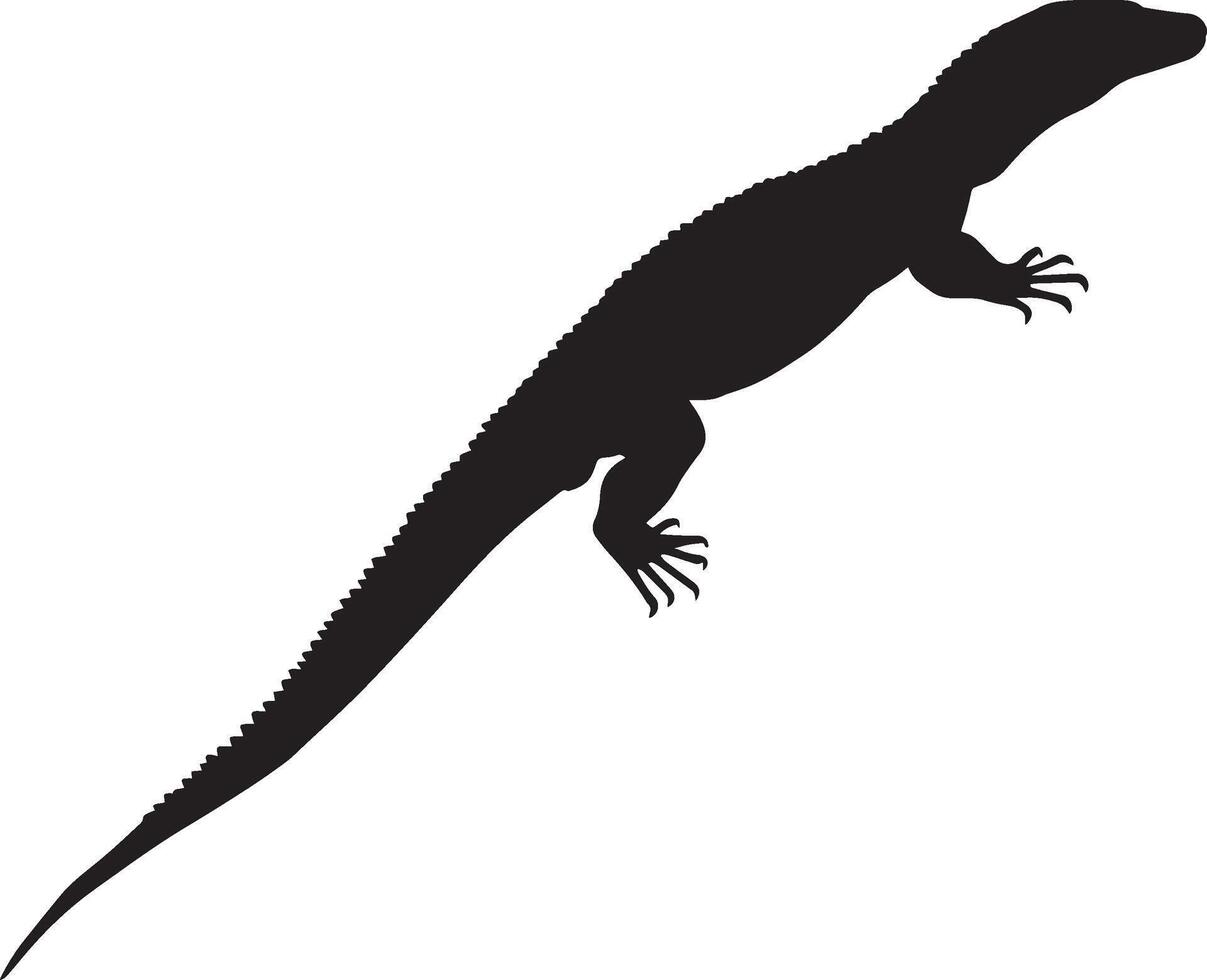 Komodo dragon ascending limbs gripping a surface, body angled, and tail extended for balance in a full-length silhouette. vector