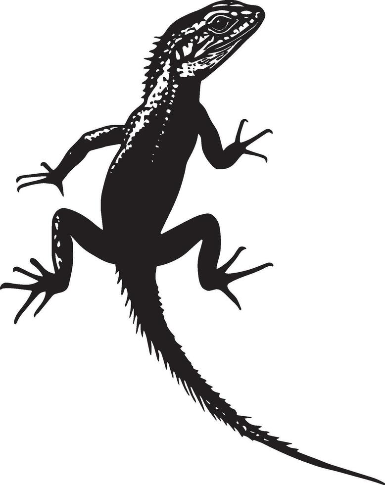 Lizard Preening Using legs to clean or adjust scales, head turned slightly. full length silhouette black illustration vector