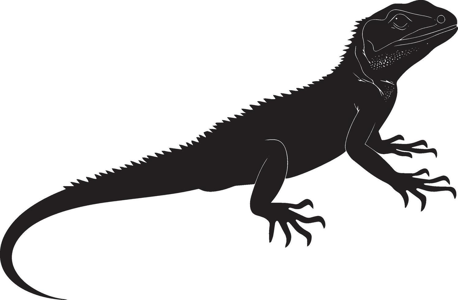 Lizard grooming using its legs to clean or adjust scales, head turned slightly in a full-length silhouette. vector