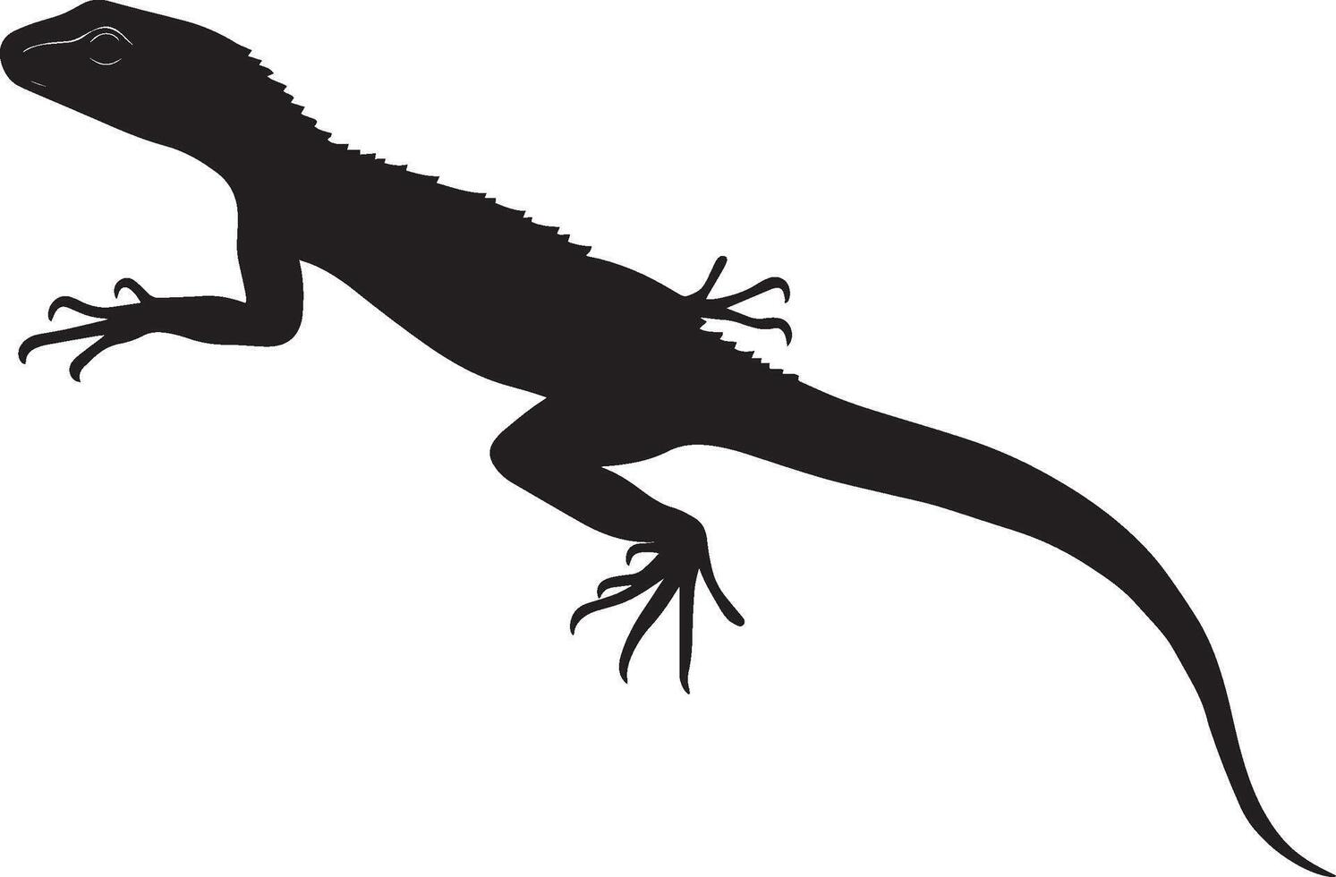 Lizard on the hunt form crouched, head reaching ahead, tail extended, and gaze fixed on prey in a black outline. vector