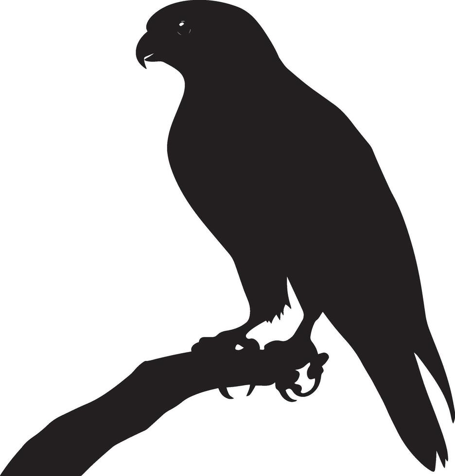 Falcon Feeding Holding prey in beak or talons body perched or in mid-air. full length silhouette black illustration vector