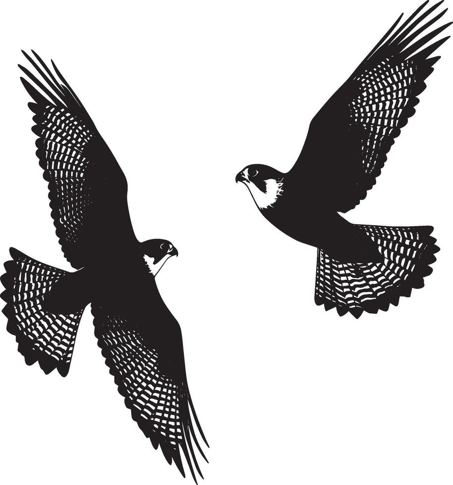 Falcon Flapping Quick wing beats while hovering or gaining altitude. full length silhouette black illustration vector