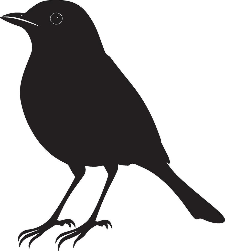 Robin in mid-hop body slightly elevated with both feet off the ground and tail raised slightly in a full-length silhouette. vector
