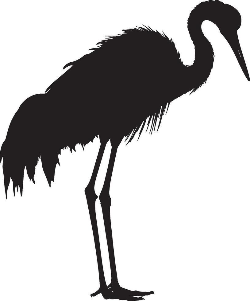Crane Preening Beak reaching back cleaning feathers body slightly turned. full length silhouette black illustration vector
