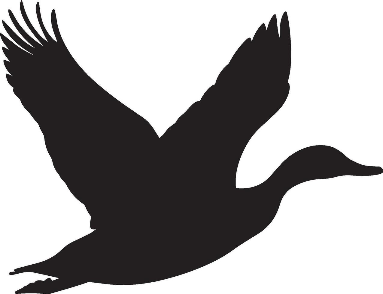 Duck Flying Wings fully spread body in mid-air legs tucked under tail extended. full length silhouette black illustration vector