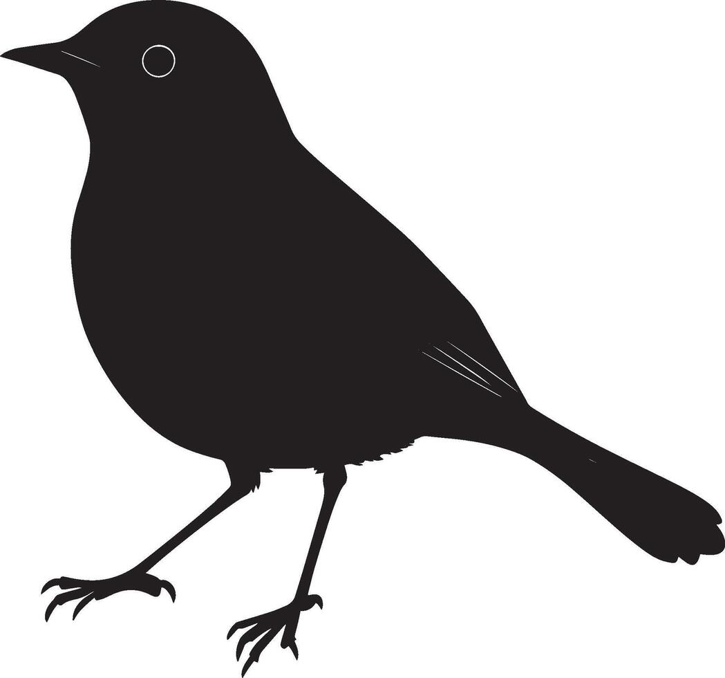 Robin Hopping Body slightly lifted both feet off the ground tail slightly raised. full length silhouette black illustration vector