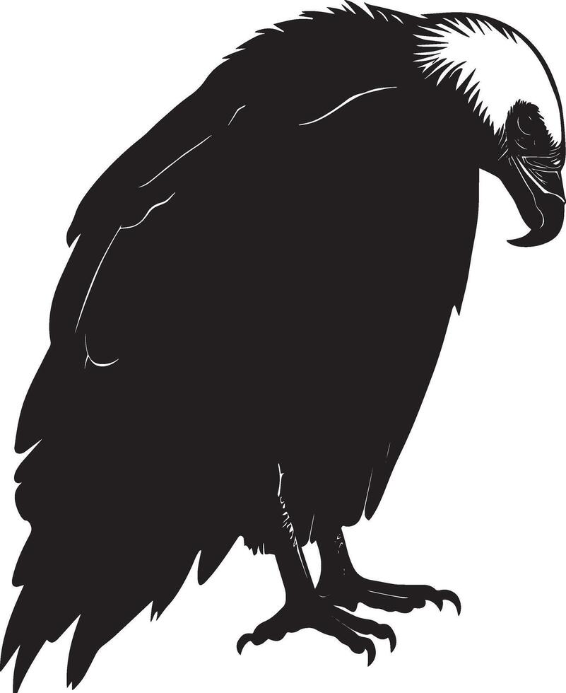 Vulture Resting Body hunched wings folded head tucked in. full length silhouette black illustration vector