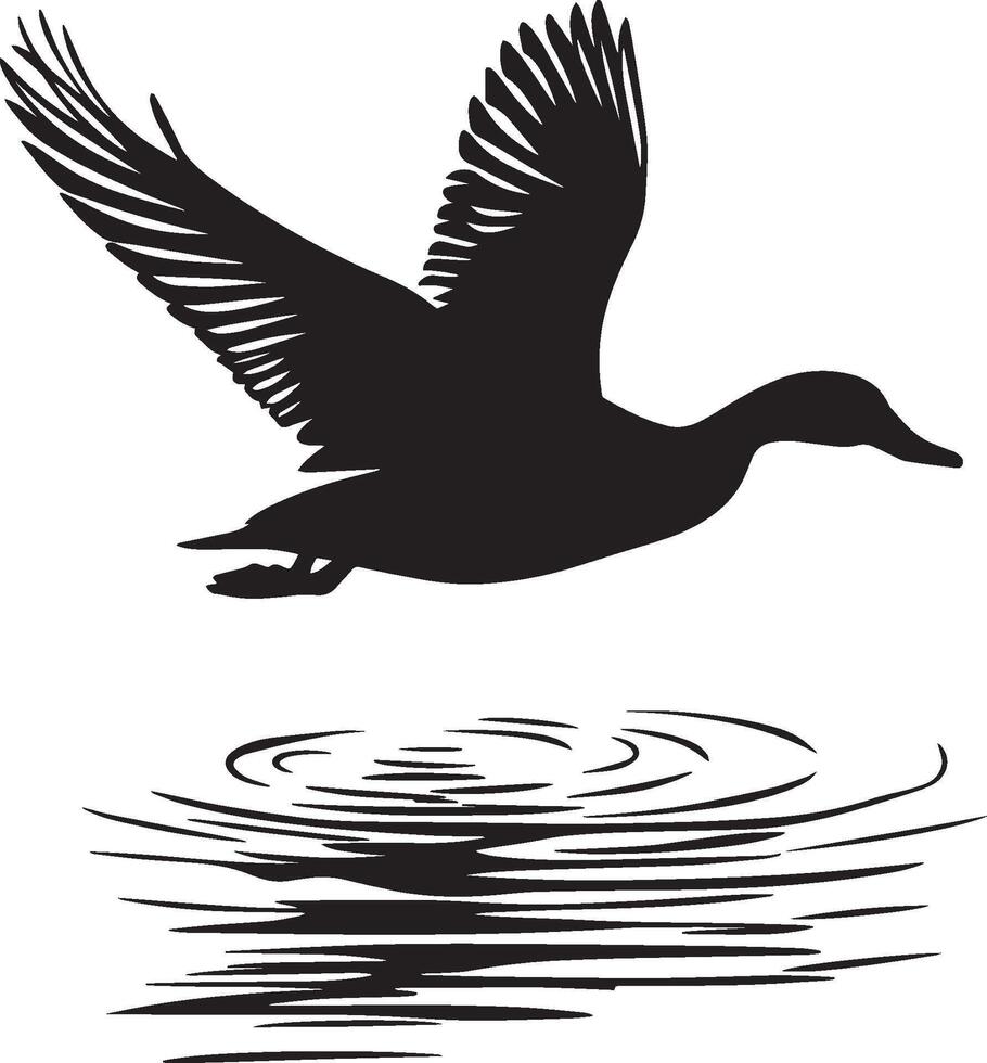 Duck Landing Wings extended feet stretched forward body lowering onto water. full length silhouette black illustration vector