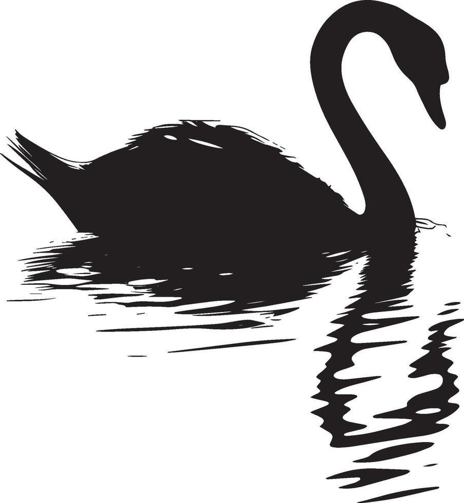 Swan Preening Beak reaching back cleaning feathers body slightly turned. full length silhouette black illustration vector