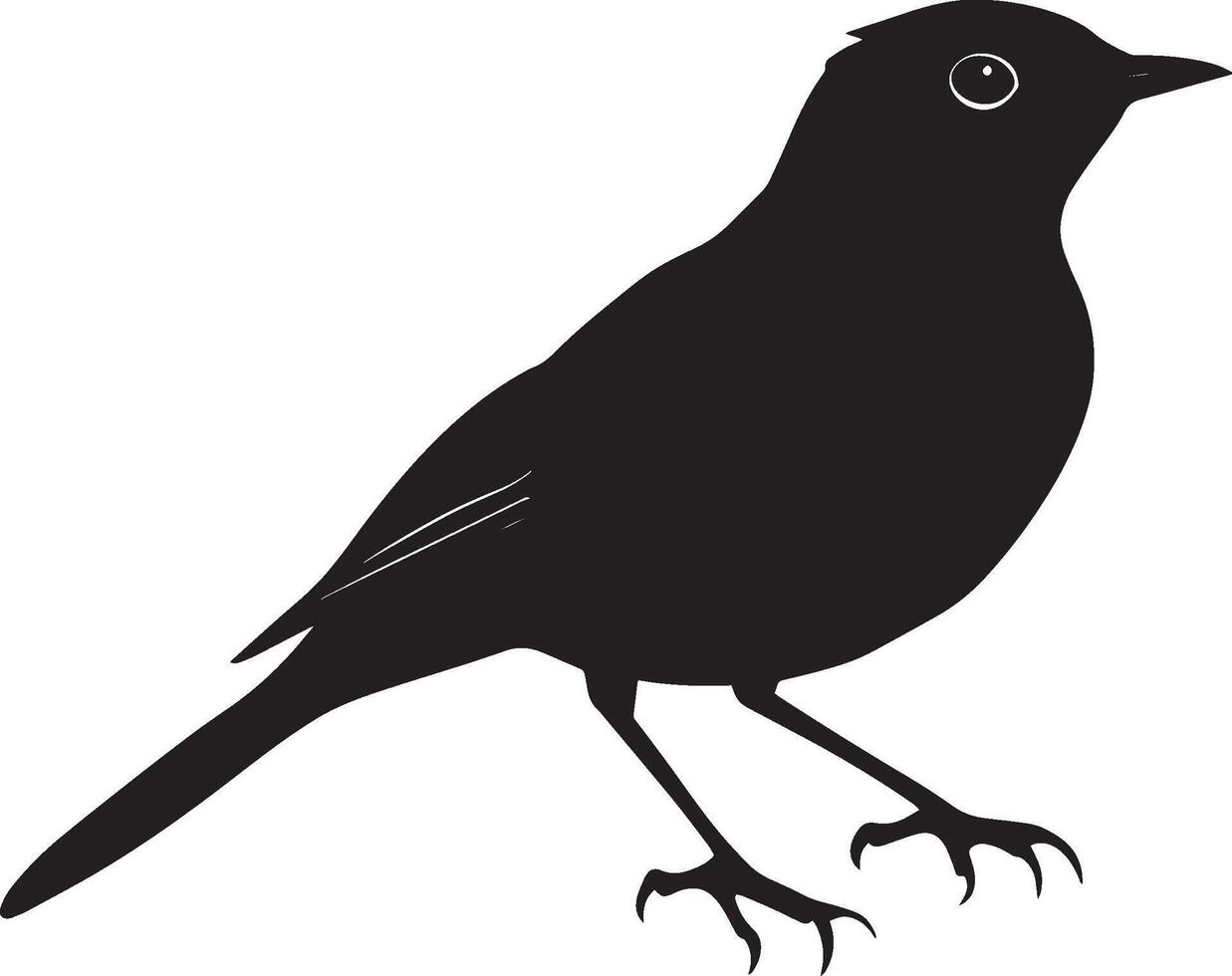 Robin leaping body lifted, feet suspended in the air, and tail slightly elevated in a black outline. vector