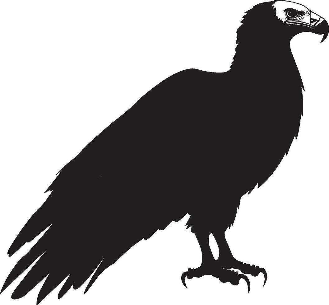 Vulture in motion taking slow steps with head extended forward and wings slightly raised in a full-length silhouette. vector