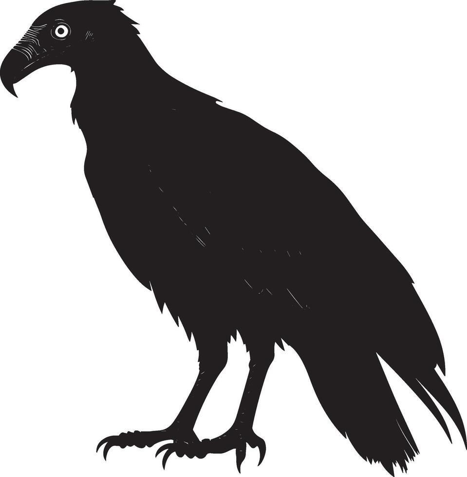 Vulture advancing walking slowly with head forward and wings slightly elevated in a complete silhouette illustration. vector