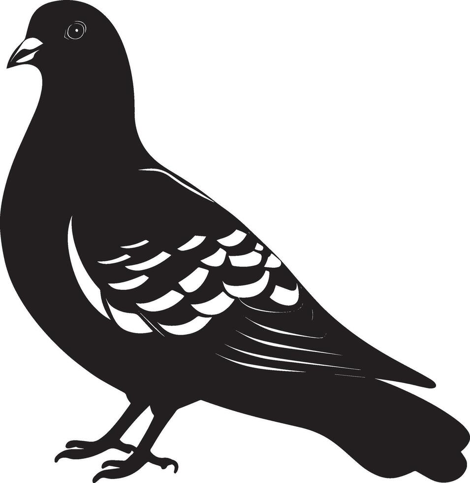 Pigeon at rest body relaxed with wings folded, tail down, and head slightly tucked in a full-length silhouette. vector