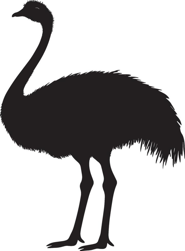 Ostrich in repose body relaxed against the ground, legs folded, and neck curved slightly in a complete silhouette illustration. vector