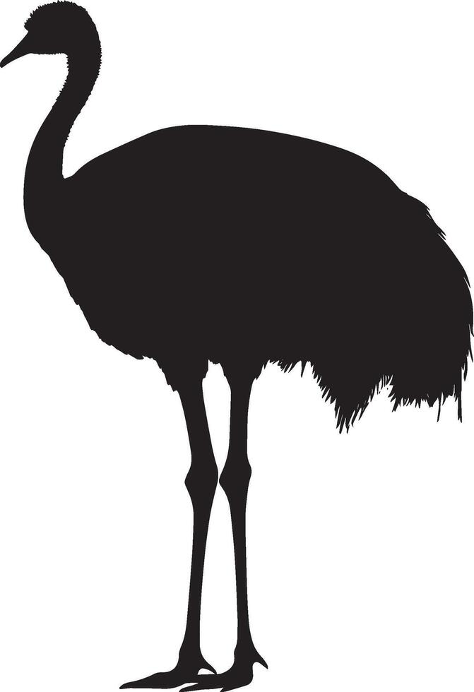 Ostrich grooming beak extending back to clean feathers, body slightly turned in a full-length silhouette. vector