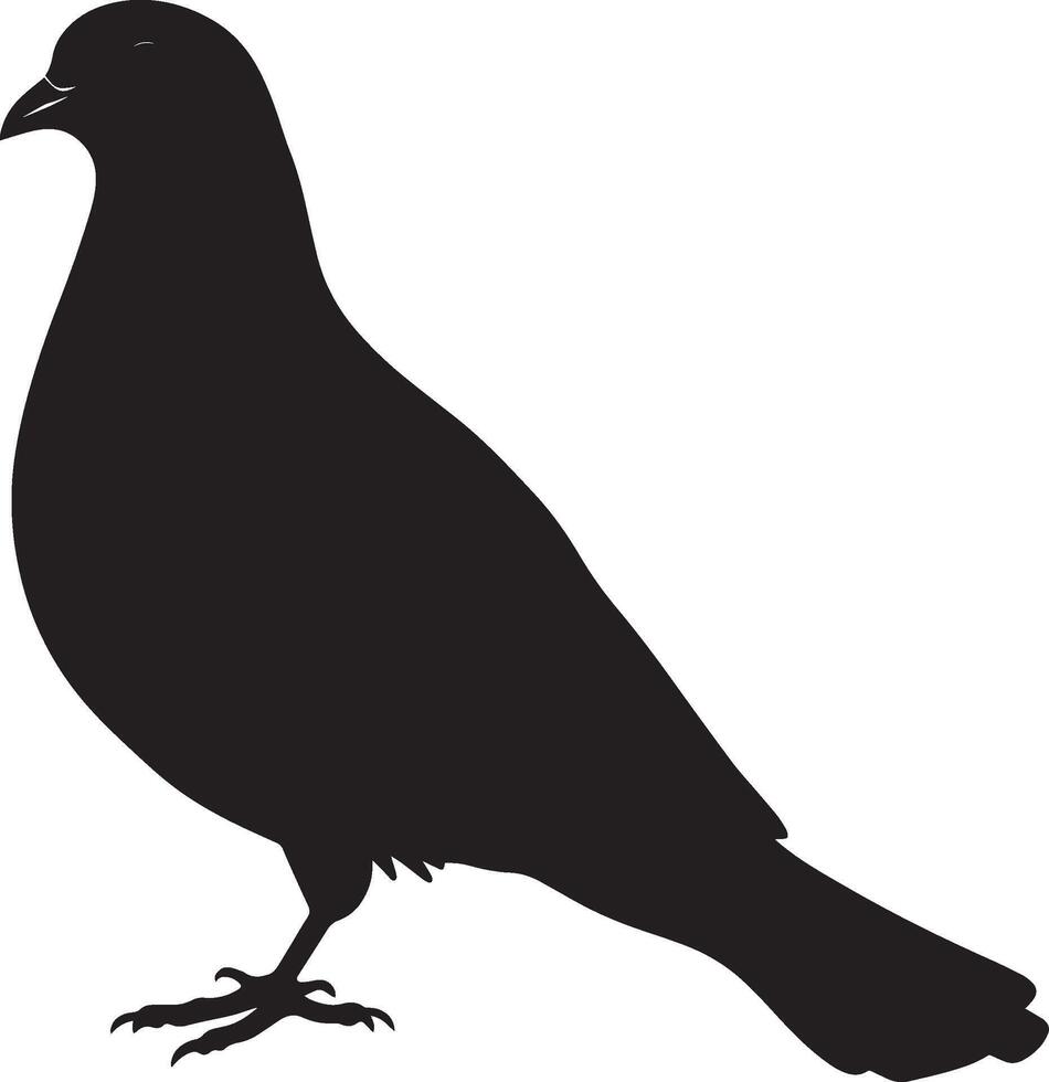 Pigeon Standing Body upright head slightly tilted tail resting on the ground. full length silhouette black illustration vector
