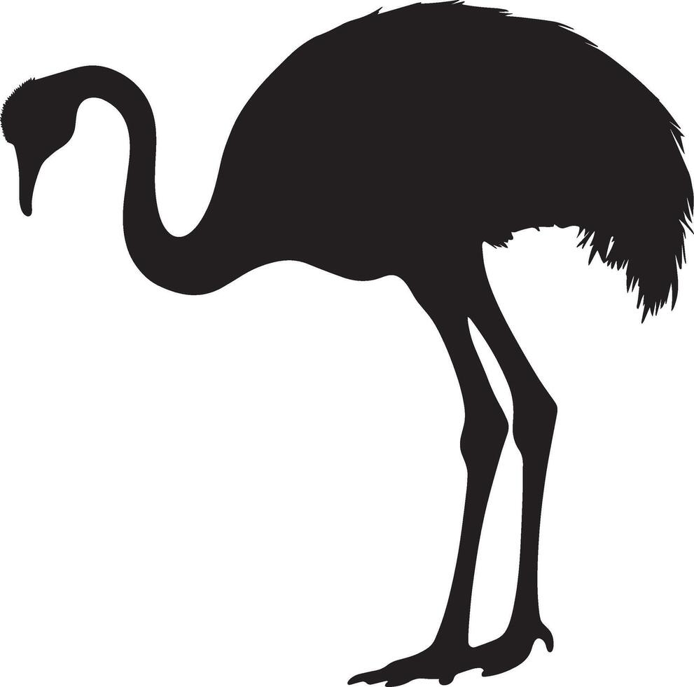 Ostrich standing alert neck elongated, head raised, and wings closely held in a complete silhouette illustration. vector