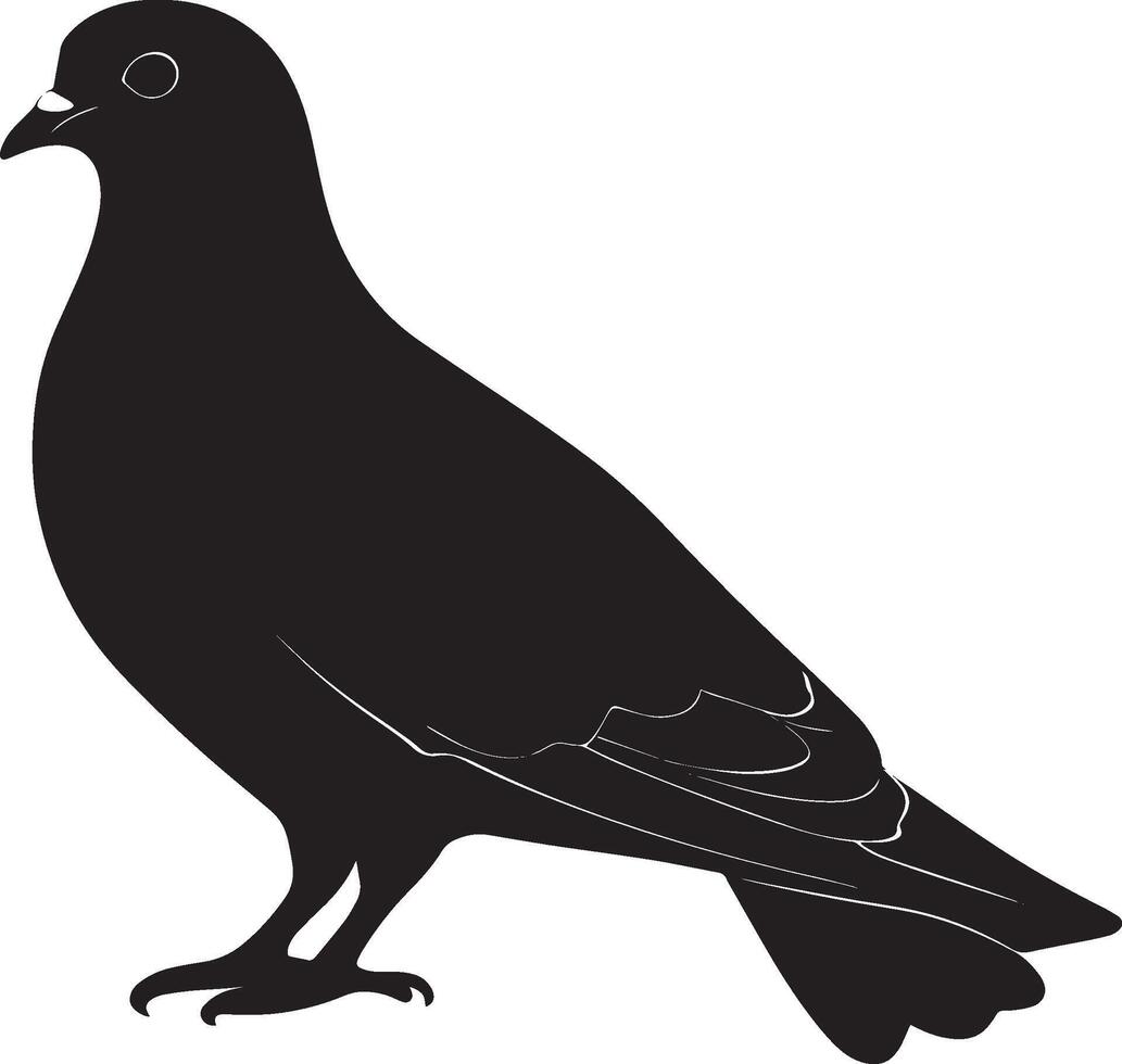 Pigeon Resting Body relaxed wings folded tail down head slightly tucked. full length silhouette black illustration vector