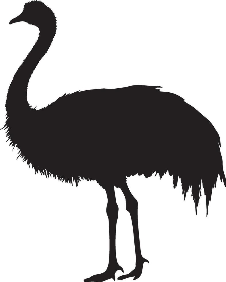 Ostrich vigilant body upright with neck stretched, head elevated, and wings snug against its sides in a black outline. vector