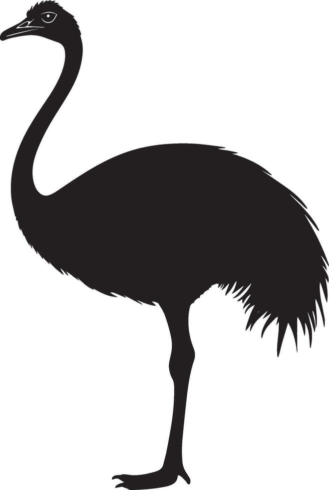 Ostrich Sitting Legs tucked under body neck curved slightly tail resting. full length silhouette black illustration vector