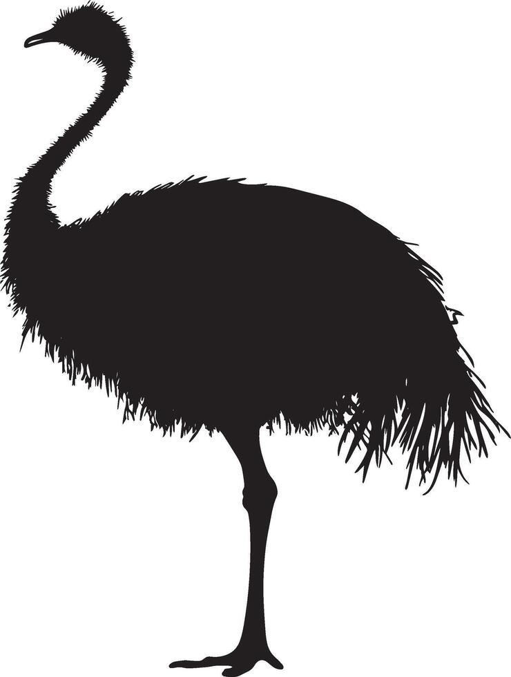 Ostrich maintaining beak reaching back to tidy its plumage, body turned slightly in a complete silhouette illustration. vector